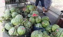 禹城网红吃瓜事件,揭秘网络舆论的风暴与真相